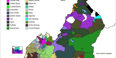 Žemėlapis Kamerūnas kalba