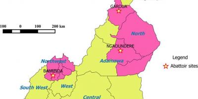 Kamerūnas rodo regionų žemėlapis